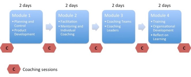 team-facilitator-structure